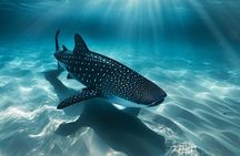 Cebu Whaleshark Watching w/ Sumilon Island Hopping