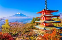 Private Mt. Fuji & Hakone Day Tour – Scenic Views & Hot Springs