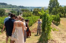 Wine Tour with Lunch and Wine Tasting