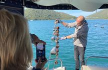 Pelješac - Wine, Oysters and Food Experience from Dubrovnik