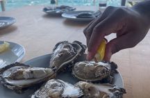Pelješac - Wine, Oysters and Food Experience from Dubrovnik