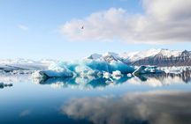 Shared Group Glacier Lagoon Tour from Djupivogur