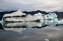 Shared Group Glacier Lagoon Tour from Djupivogur