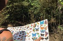 Private Tour - Cerro Gaital Natural Monument Trail