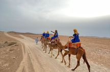 Camel and Quad Bike Desert Experience in Agafay Morocco