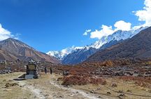 7-Day Langtang Valley Trek from Kathmandu