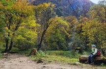 7-Day Langtang Valley Trek from Kathmandu