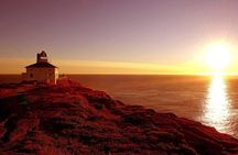 Historic St. John's Newfoundland and Cape Spear Tour