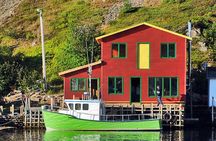Historic St. John's Newfoundland and Cape Spear Tour