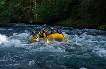 Whitewater Rafting on The McKenzie River