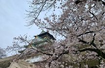 Osaka Highlights: 4Hrs Guided Walking Tour with a Native Expert