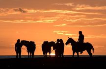 Horseback Riding Beach & Jungle