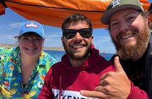 Private Boat Tour at Comino's Blue Lagoon and Crystal Lagoon