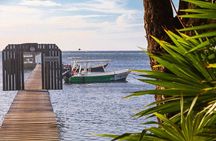 Roatan Full Diving Day Adventure -3 Dives for Certified Divers