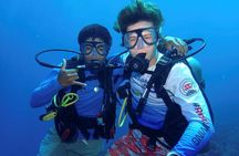Roatan Full Diving Day Adventure -3 Dives for Certified Divers
