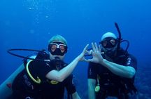 Roatan Full Diving Day Adventure -3 Dives for Certified Divers