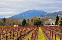 Napa Valley, Yountville and Sausalito Day Trip from San Francisco