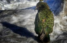 Mt Cook to Lake Tekapo Small Group Tour (one-way)