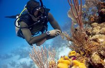 Roatan 2 Dive Scuba Adventure for Certified Divers