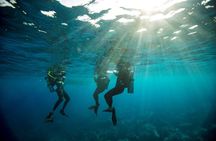 Roatan 2 Dive Scuba Adventure for Certified Divers