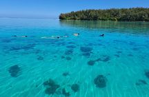 Private Marine Excursion and snorkeling in the lagoon of Moorea