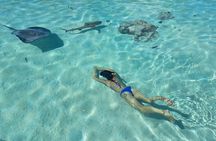 Private Marine Excursion and snorkeling in the lagoon of Moorea