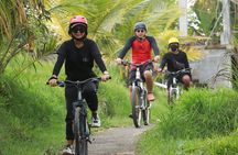 Bali Cycling Tour with Private Hotel Transfer 