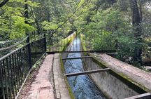 4-Hour Private Guided Tour to Kyoto Silver Pavilion