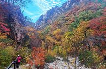 Full-Day Tour in Mt. Seorak & Nami (+Rail Bike Option)