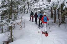 Tongariro National Park Northern Explorer Train and Snowshoeing