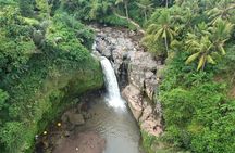 Bali Full-Day Tours : Waterfall and Ubud Destination Trip