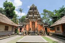 Bali Full-Day Tours : Waterfall and Ubud Destination Trip