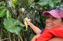 Wildlife Boat Tour in the Panama Canal Lake