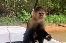Wildlife Boat Tour in the Panama Canal Lake