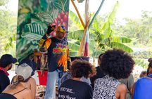 Boogie Adventure with Taino Show Cenote and mamajuana tasting