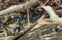 Maritime Adventure Bahia de Cinto and Playa Cristal, Tayrona Park