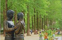 Nami Island Day Tour From Seoul (Sleep In & Leisurely)
