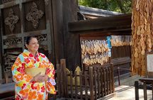 Full Day Private Tour in Kyoto with Pickup 