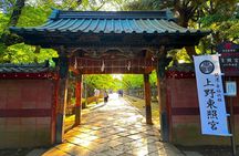 From History to Subculture: Akihabara & Ueno Must-See Tour!