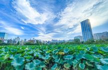 From History to Subculture: Akihabara & Ueno Must-See Tour!