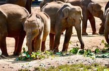 Multiday Safari and Hiking Adventure in Sri Lanka