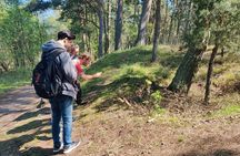 Nature Walk and Wildlife Tour in Sobieszewo Island