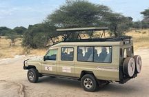 2 Days safari to Tarangire National park And Ngorongoro Crater