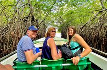 2 hours private Madu River Safari 