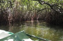 2 hours private Madu River Safari 