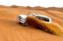 Dubai Evening Desert Safari With BBQ & Camel Ride