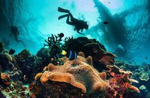 Diving Stops Full Day for Beginners with Lunch in Hurghada