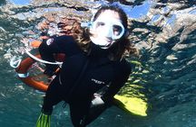 L'Estartit: Snorkeling in the Medes