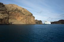 Vestmannaeyjar, Puffins & Volcanoes Small Group Day Tour