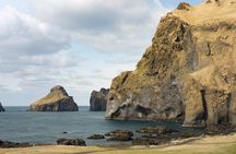 Vestmannaeyjar, Puffins & Volcanoes Small Group Day Tour